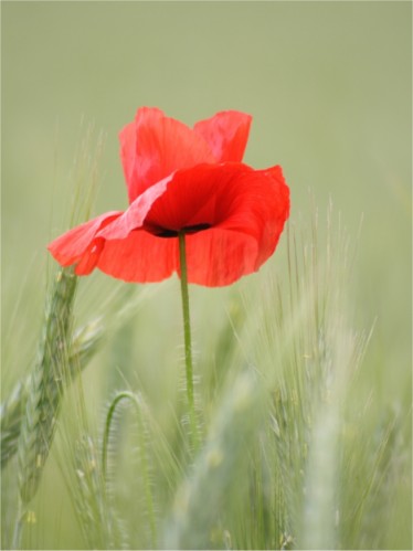(c) Günter Havlena Pixelio.de