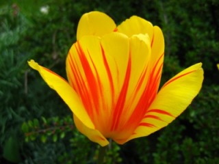 (c) Carsten Fröhlich pixelio.de